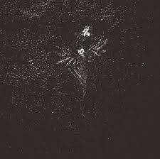 Folteraar : Vertellingen Van Een Donkere Eeuw